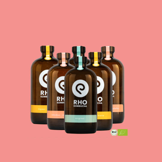 RHO_Kombucha_Bio_Flasche